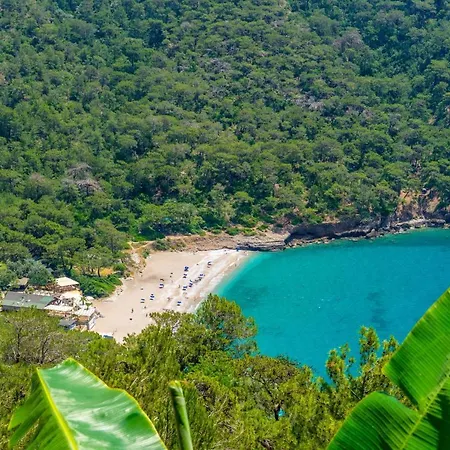 Oda ve Kahvaltı Manzara Bungalow